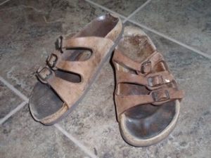 Birkenstocks