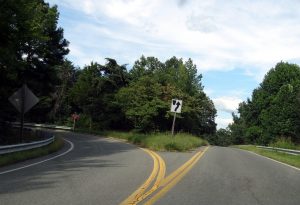 Fork in the road